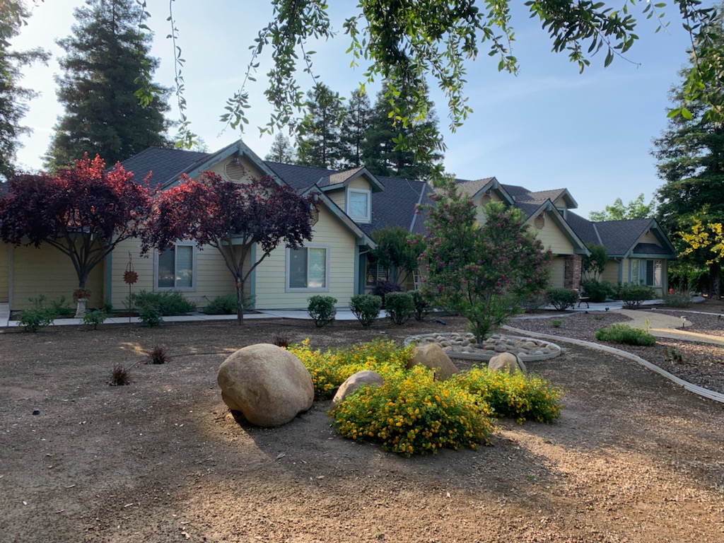 Pale yellow house with green trim, a dark roof, and a front yard of trees and yellow flowers